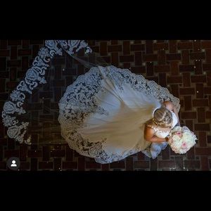 Pronovias Wedding Dress With Custom Veil